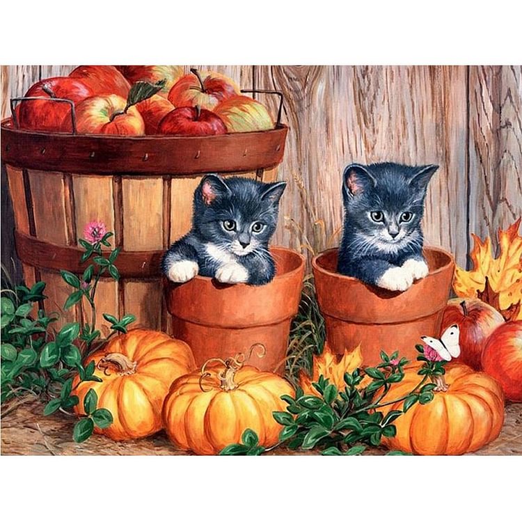 Cats and Pumpkin - Round Drill Diamond Painting - 40*30CM