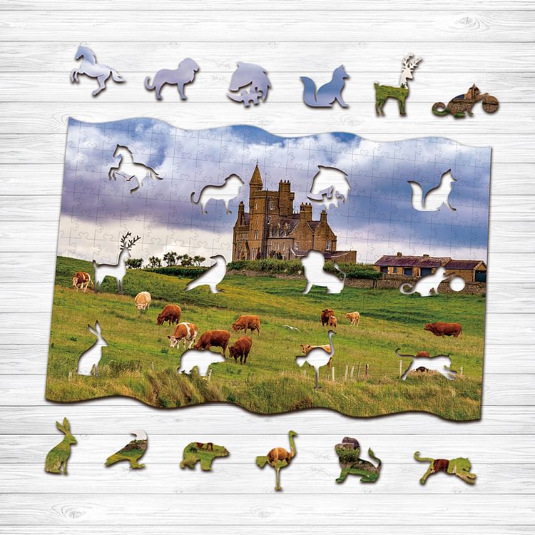 Stories Wooden Jigsaw Puzzle