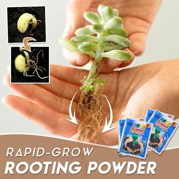rapid root growth