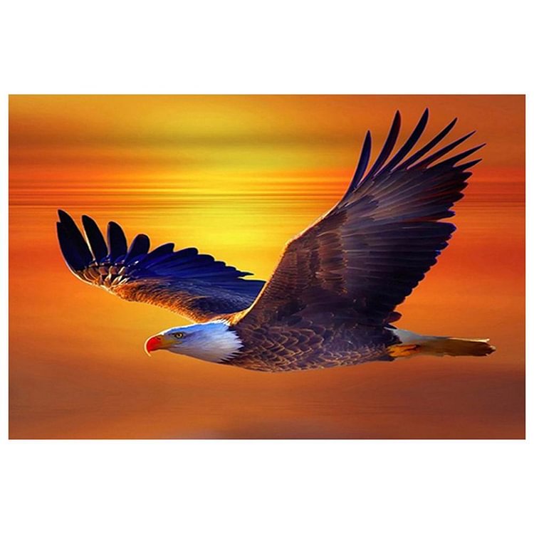 Flying Eagle - Full Round Drill Diamond Painting - 40x30cm(Canvas)