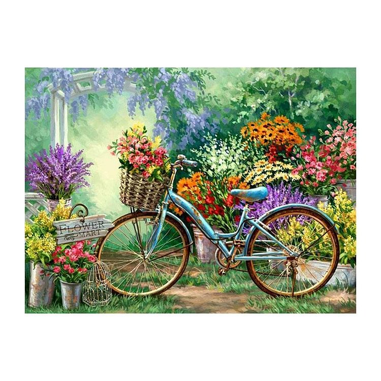 5D plein bricolage perceuse diamant peinture jardin vélo Cross Stitch Kit (30x40cm)