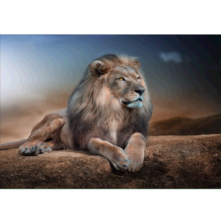 Lion Round Drill Diamond Painting 40X30CM(Canvas)-gbfke