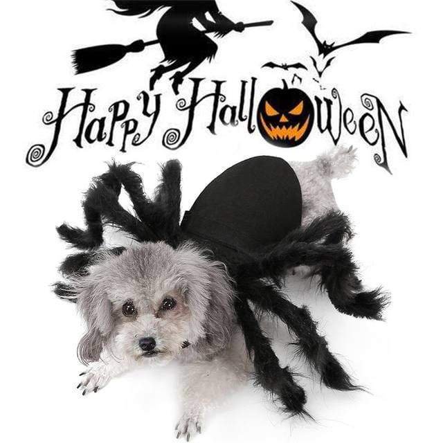 Lovepetplus - Halloween Pet Spider Clothes  