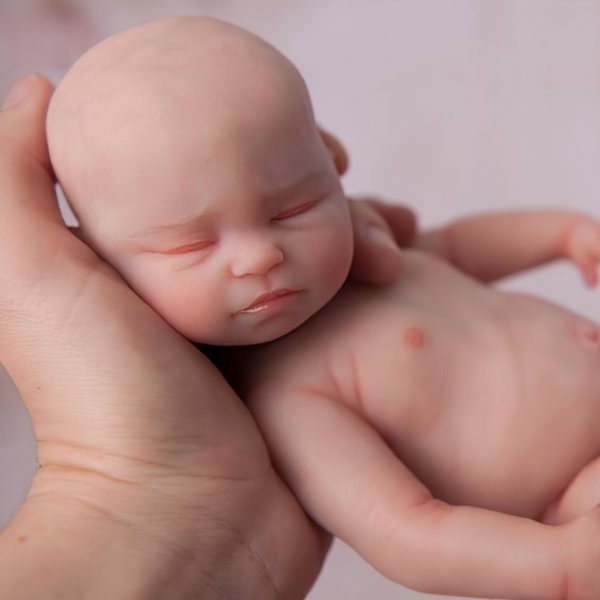 Full Body Silicone Miniature Doll Sleeping Reborn Baby Doll, 5 inch Realistic Newborn Baby Doll Girl Named Claire