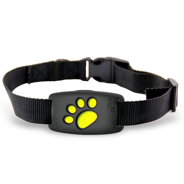 Smart GPS Dog Collar – Pet GPS Tracker - tree - Codlins