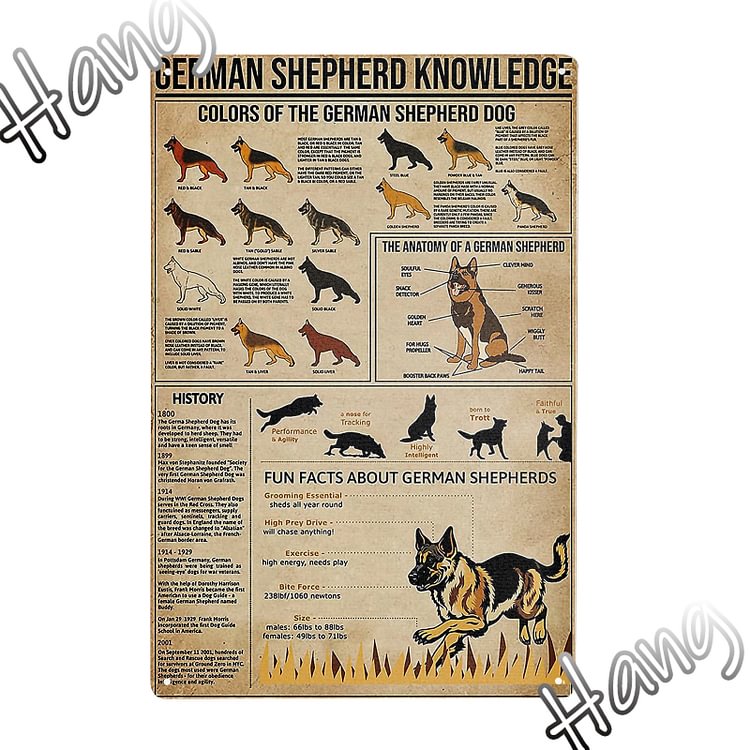 German Shepherd Dog - Vintage Tin Signs