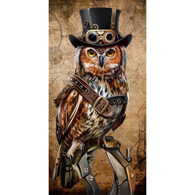 Earl Owl - Painting By Numbers - 40*80cm