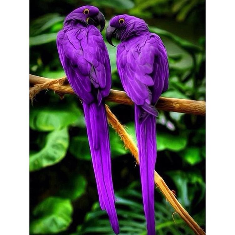 Purple Parrots - Full Round Drill Diamond Painting - 40x30cm(Canvas)