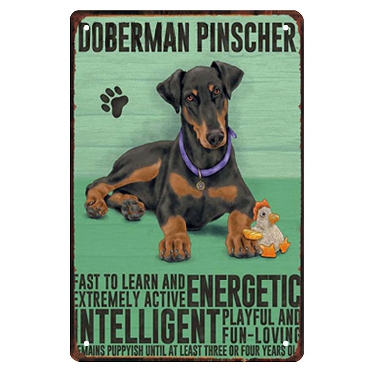 Doberman Pinscher Dog - Vintage Tin Signs