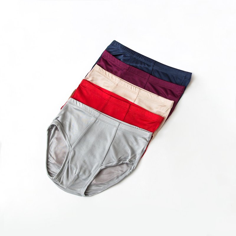 Men's Silk Briefs Breathable Thin Underwear 5-Pack-Real Silk Life