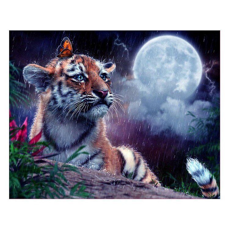 Tiger - Square Drill Diamond Painting - 30x36cm(Canvas)