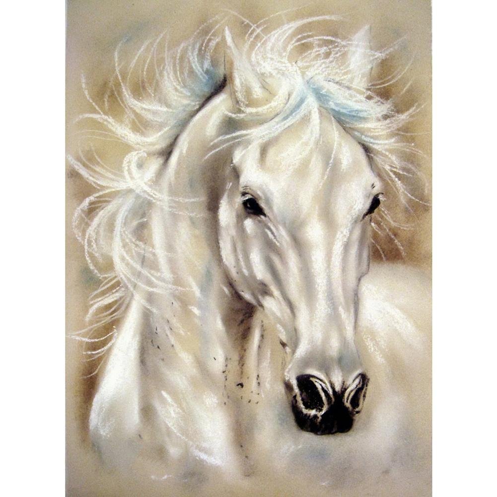 Full Round Diamond Painting Horse (40*30cm)