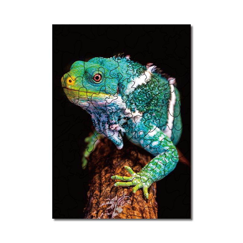 JEFFPUZZLE™-JEFFPUZZLE™ Color-changing lizards Puzzle