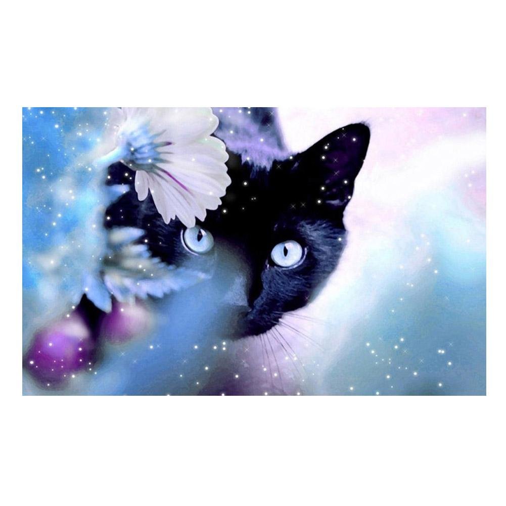 Full Round Diamond Painting Black Cat (40*30cm)