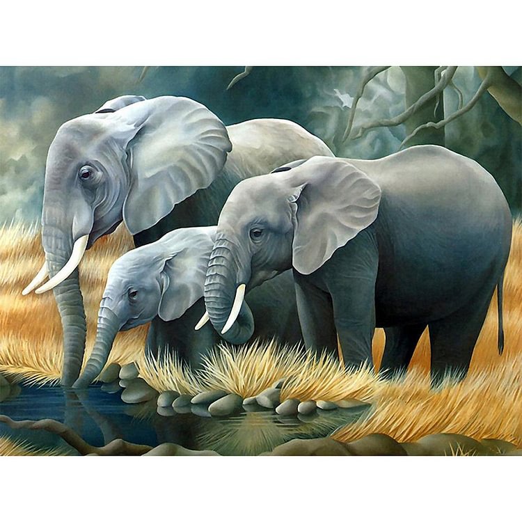 Elephant - Square Drill Diamond Painting - 50*40CM