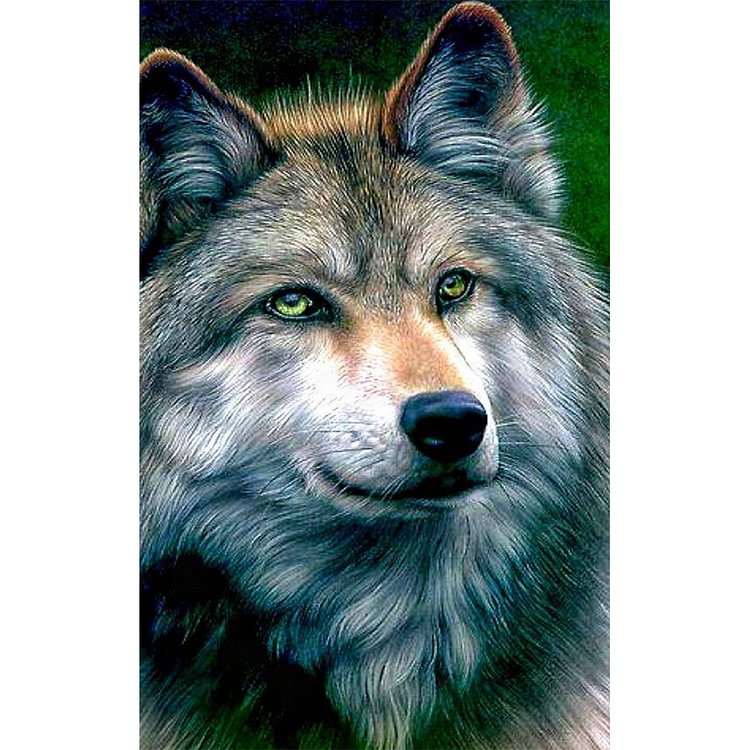 Wolf - Round Drill Diamond Painting - 30*40CM