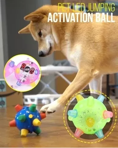 activation ball for dogs