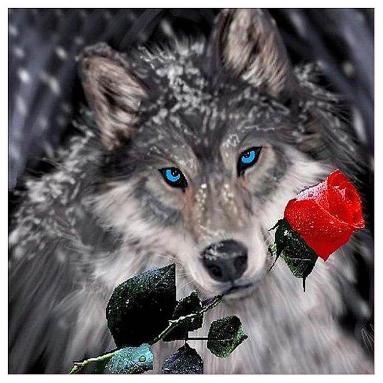 Rose Wolf - Full Round Drill Diamond Painting - 30x30cm(Canvas)