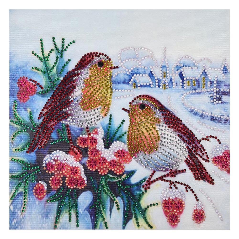 Partial Special Shaped Diamond Painting Winter Birds