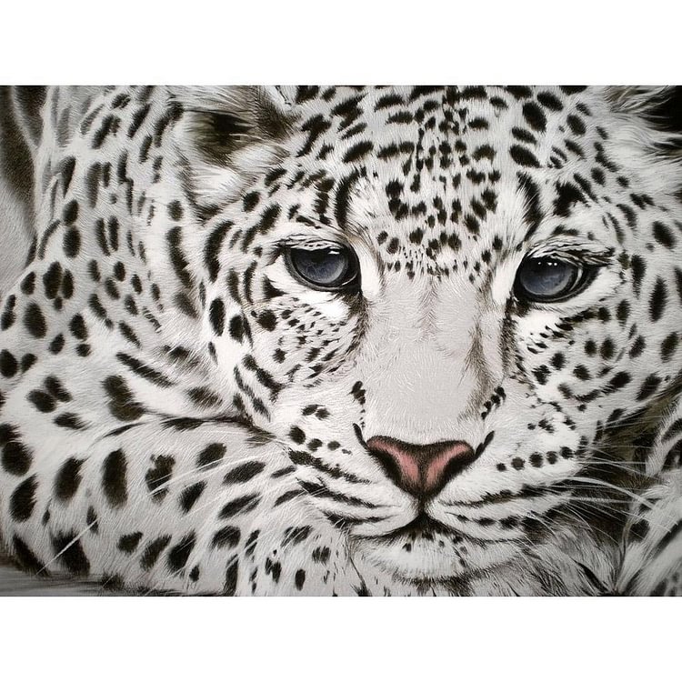 Leopard-Full Square Diamond Painting-40*30CM