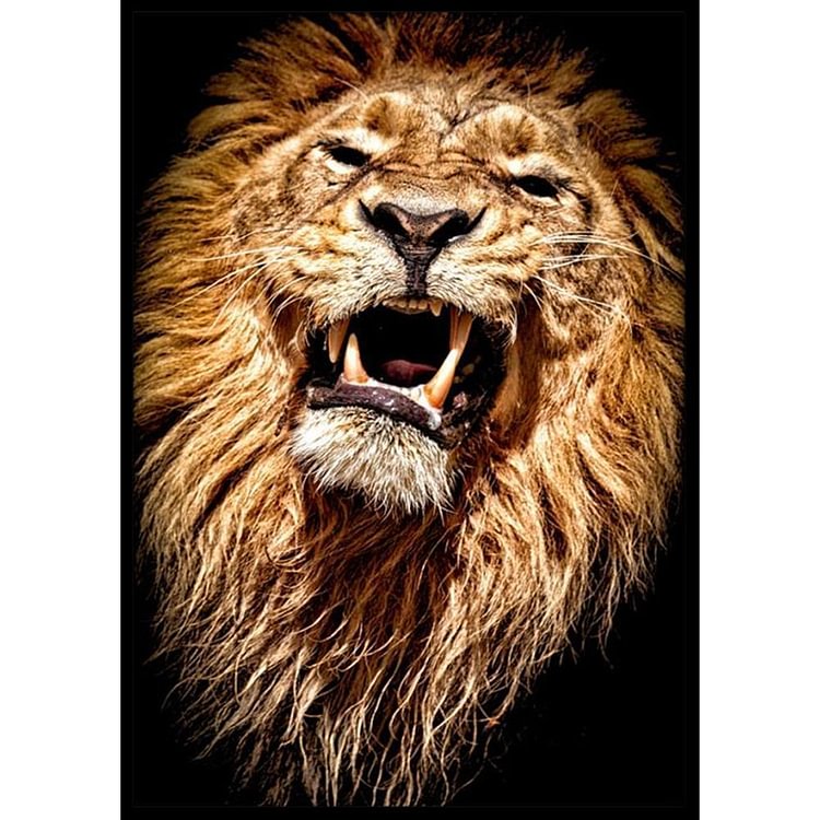 5D DIY Full Drill Diamond Painting Lion Embroidery Mosaic Craft Kit (hg412)