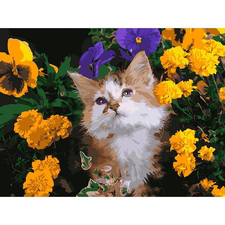 Fleur de chat - Peinture par nombres 40x50cm
