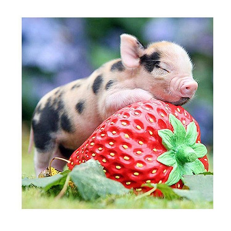 Baby Pig Sleep on Strawberry - Diamant rond partiel - 30x30cm