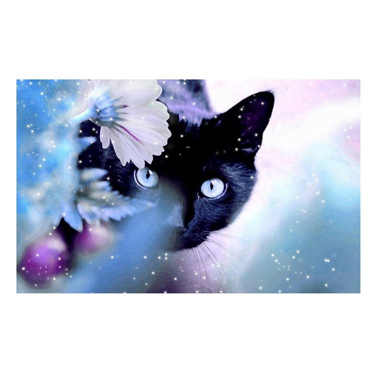 Black Cat Round Drill Diamond Painting 40X30CM(Canvas)-gbfke