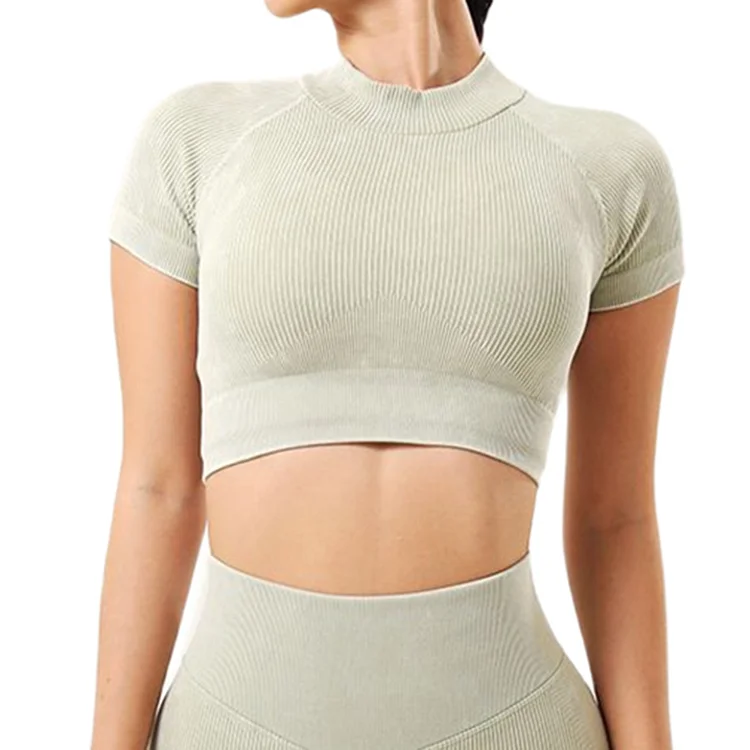 Seamless Wash Ribbed Fabric High Neck Cap Sleeve Crop Top