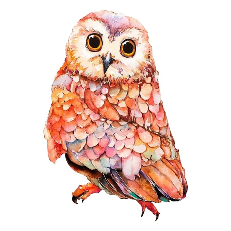 Pink owl Jigsaw Puzzle(CHRISTMAS SALE)-Ainnpuzzle