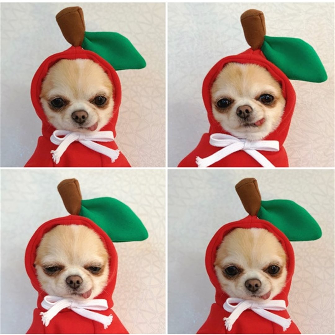 Cute Pet Clothes for Christmas(Buy 3 Get Free Shipping)
