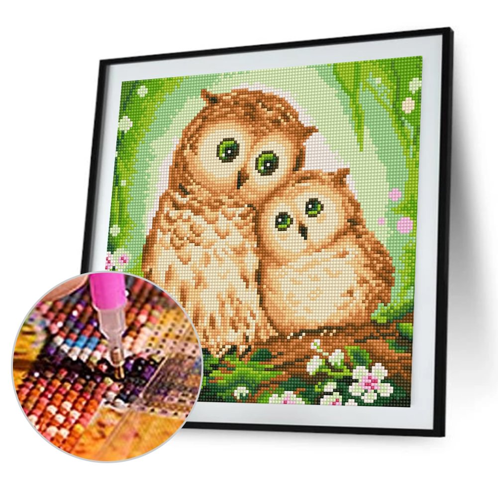 Two Owls  Round Diamond Painting 30*30cm