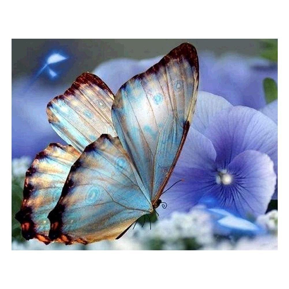 Full Round Diamond Painting Blue Butterfly (30*25cm)