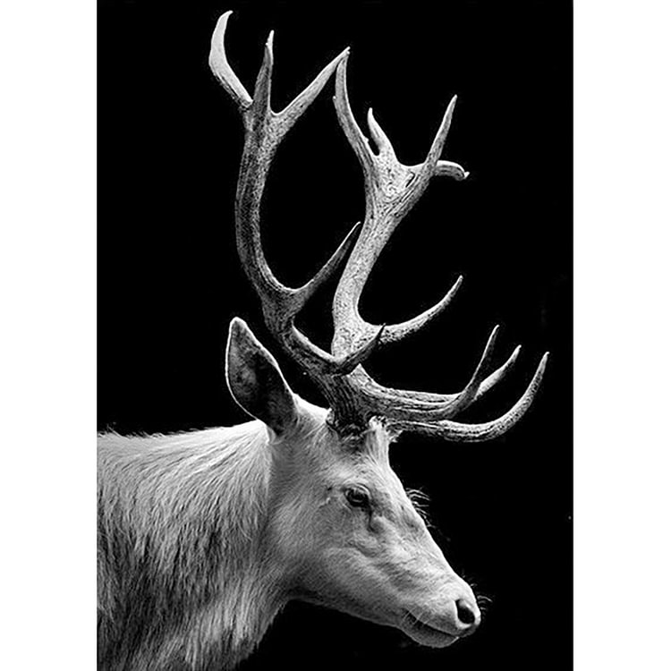 Black White Antelope - Round Drill Diamond Painting - 30*40CM