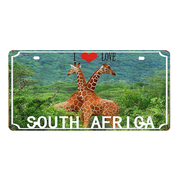 License Plate SOUTH AFRICA Vintage Metal Tin Sign Plaque for Bar Pub (F)