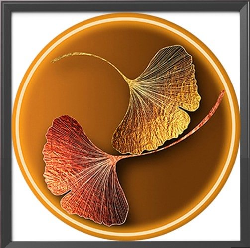 Two Leaves-11Ct Stamped Cross Stitch-60*60CM