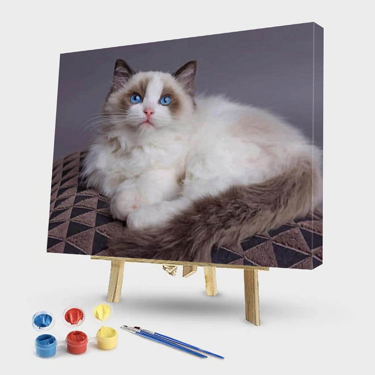 50*40CM - Paint By Numbers - White Cat