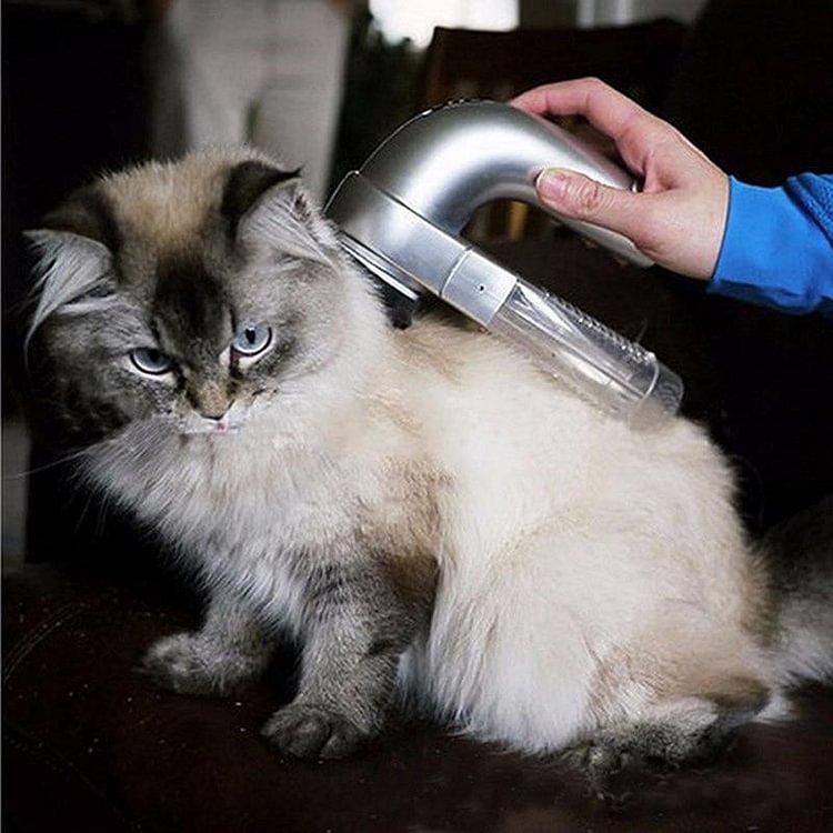Handheld vacuum for pet hair - tree - Codlins