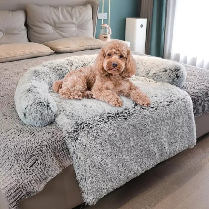 best dog sofa bed