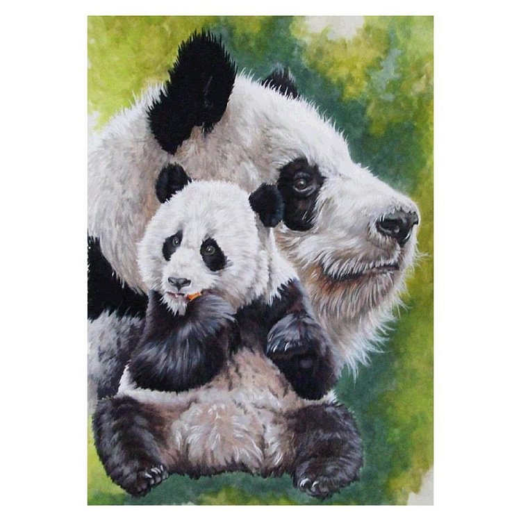Panda Full Drill Diamond Painting 30X40CM(Canvas) gbfke