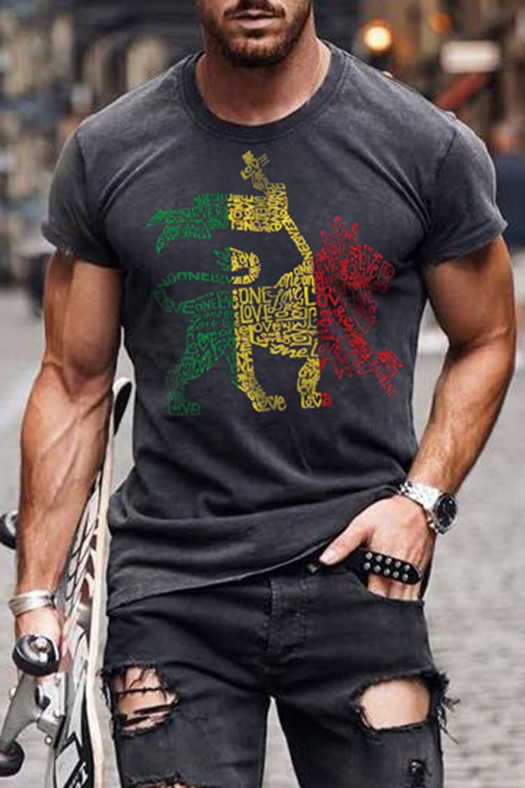 Tiboyz Men's Loose Casual Flag Lion Cozy T-Shirt