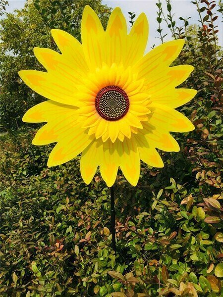 Sunflower Windmill - Sean - Codlins