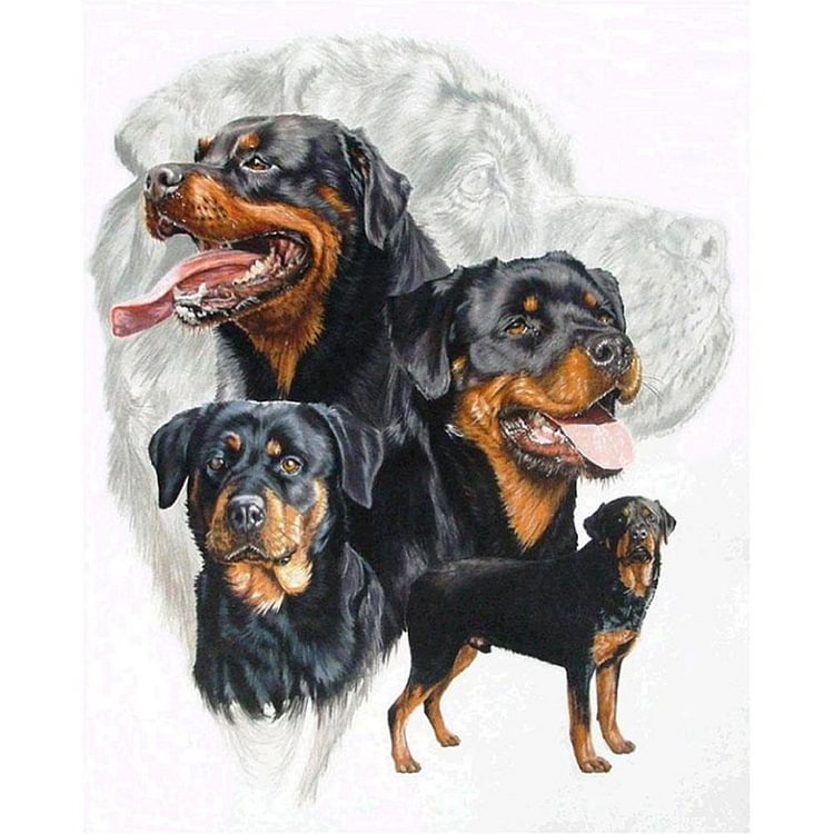 Dogs Group - Full Round Drill Diamond Painting - 40x30cm(Canvas)