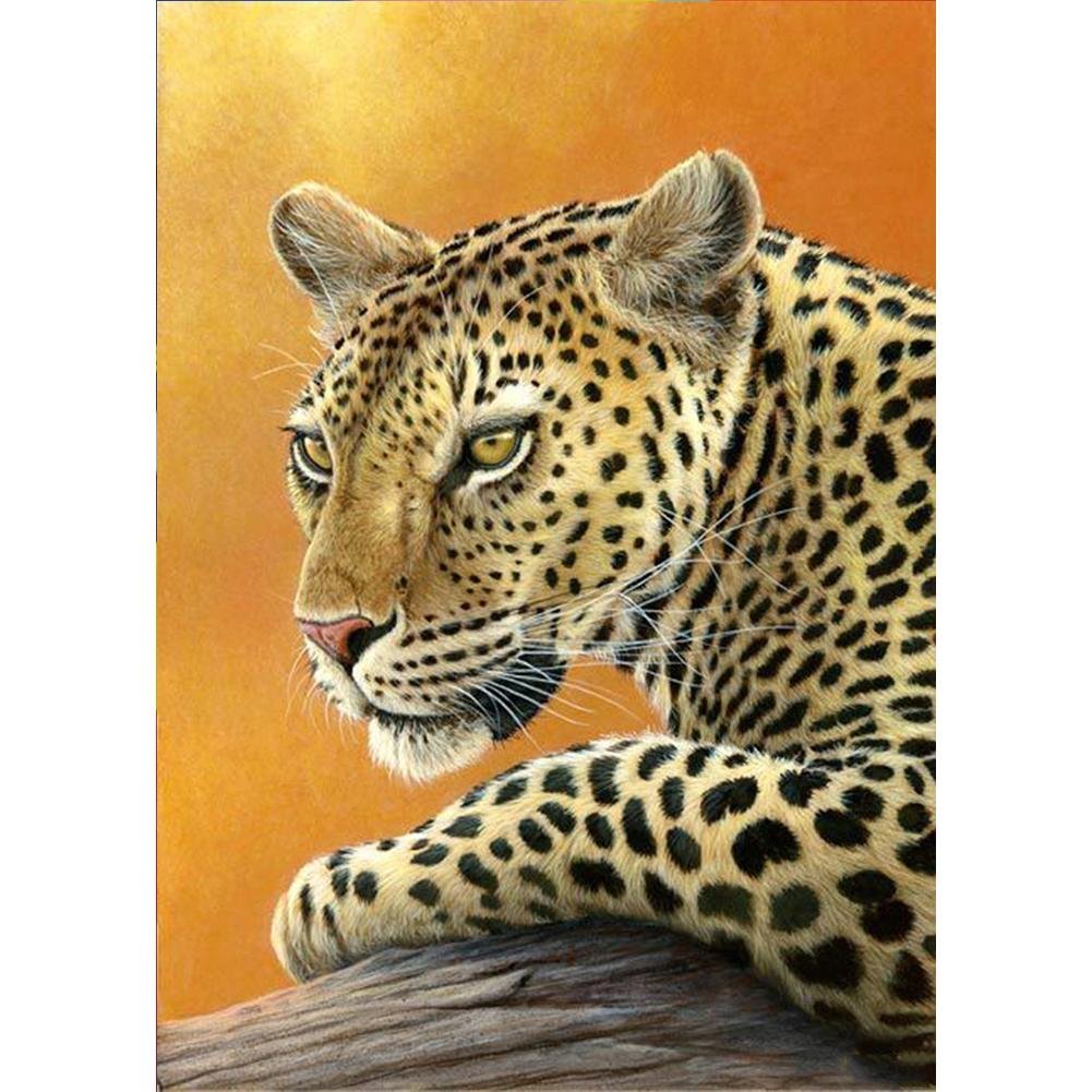 Full Round Diamond Painting Leopard (40*30cm)