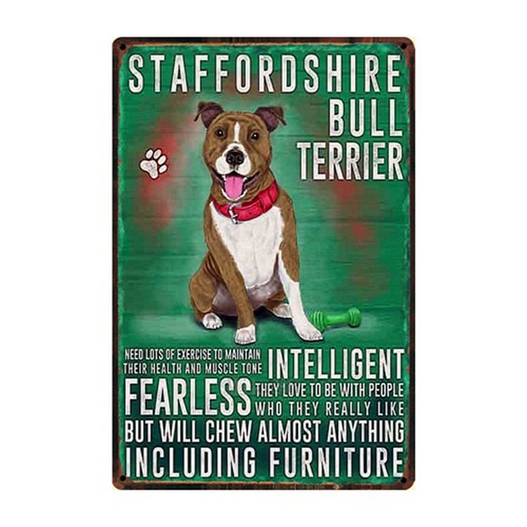 Staffordshire Bull Terrier Dog - Vintage Tin Signs