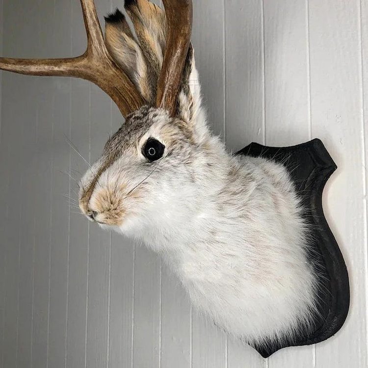 Antlers Rabbit Head Statue Home Decoration Wall Hanging Decor - tree - Codlins