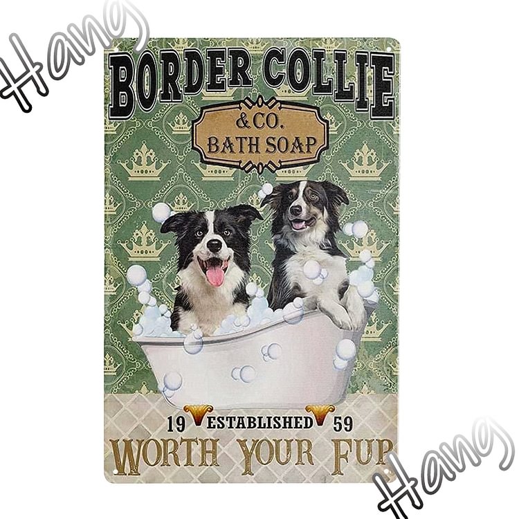 Border Collie Dog - Vintage Tin Signs